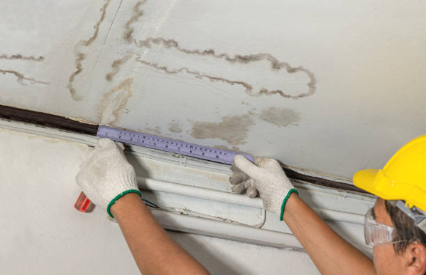 Reliable Burst Pipe Cleanup contractor in Elkton, VA by Water Damage Irwin